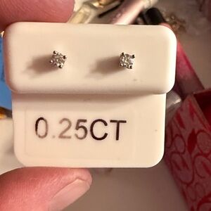 Elegant Silver Stud Earrings